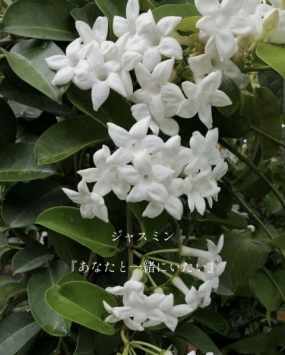 おはようございます