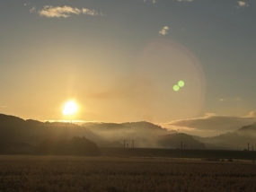 ありがとうございました◎