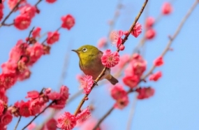 あたたけぇ〜ぇ